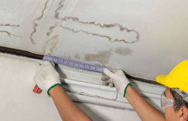 Reliable Structural Drying contractor in Rockford, WA by Water Damage Irwin